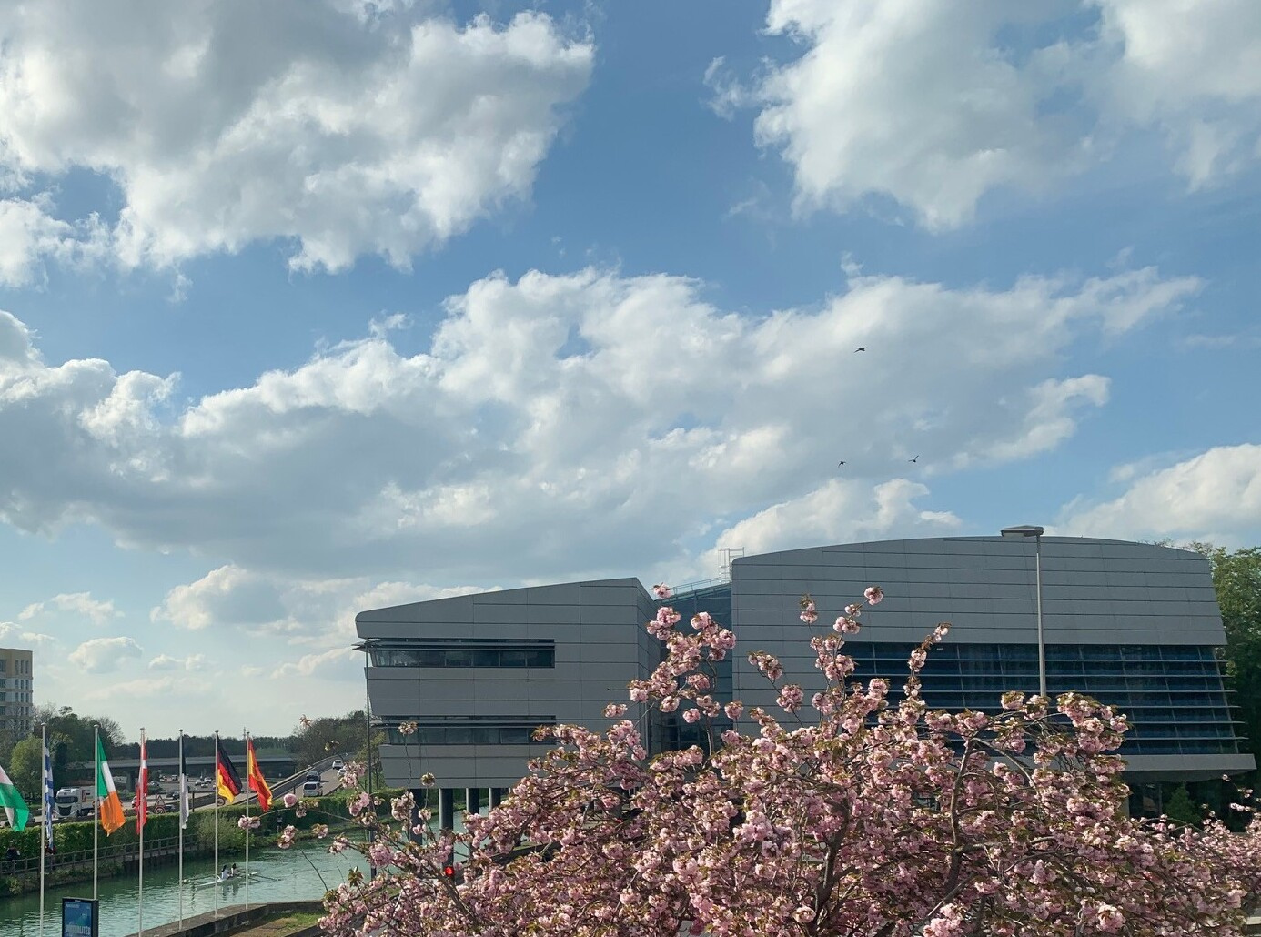 PALAIS DES CONGRES - A VENDRE SUPERBE APPARTEMENT TYPE 3 DE 68m2 + CAVES